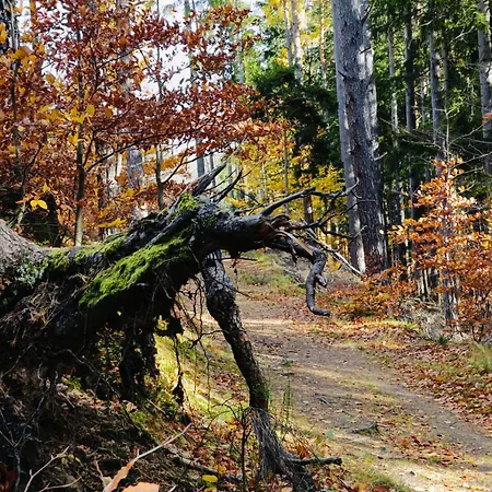 Дом отдыха Sielski Pod Karpaczem