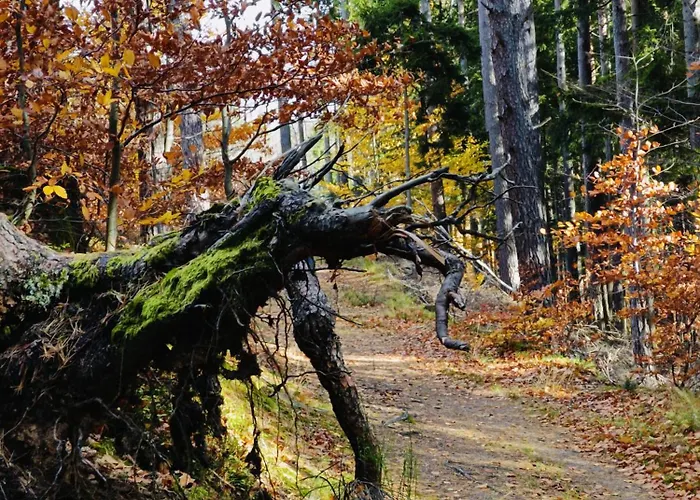 Дом отдыха Sielski Pod Karpaczem