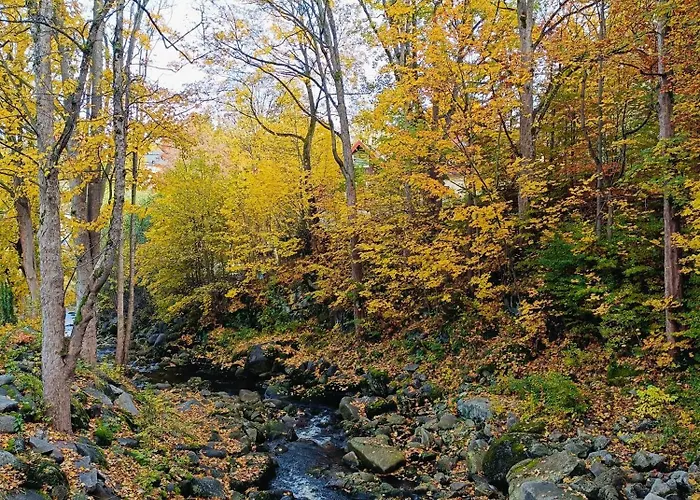 Sielski Pod Karpaczem Милкув